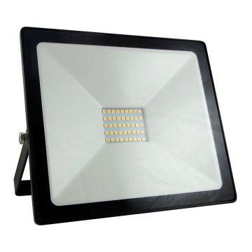 Riflettore LED LED/30W/230V IP65