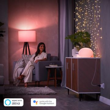 SET 2x Presa intelligente Philips Hue Smart plug