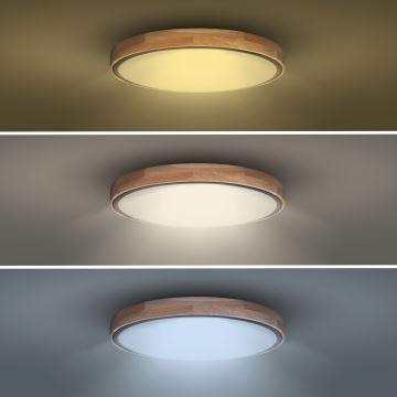 Plafoniera LED dimmerabile IRON OAK LED/48W/230V 3000-6500K quercia diametro 40 cm + telecomando