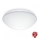 Steinel 056087-LED Plafoniera da bagno RSPROP2 LED/15,5W/230V 4000K IP54