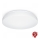 Steinel 069759-LED Plafoniera da bagno RSPROP2 LED/14,1W/230V 4000K IP54