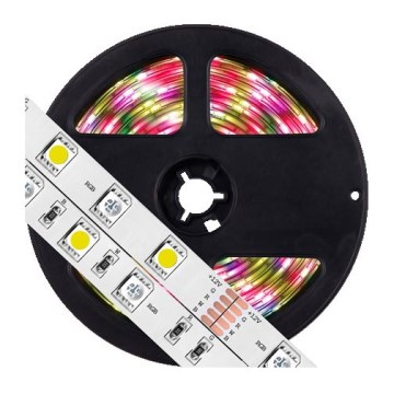 Striscia LED RGB dimmerabile 5m LED/19W/12V IP65