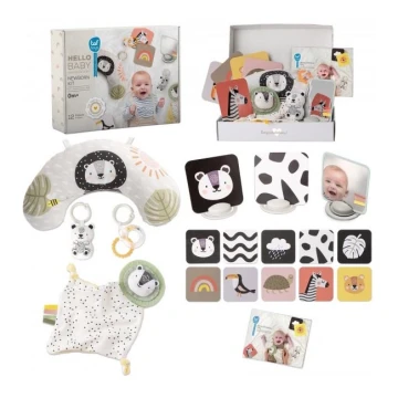 Taf Toys - Confezione regalo HELLO BABY