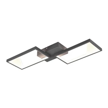 Trio - Lampadario LED dimmerabile a plafone CAFU 2xLED/7W/230V