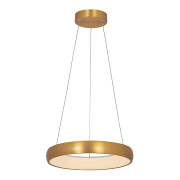 Zambelis 2046 - Lampadario a sospensione con filo LED dimmerabile LED/30W/230V diametro 40 cm oro