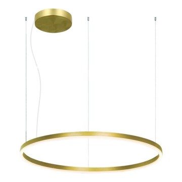 Zambelis 22240 - Lampadario a sospensione con filo LED dimmerabile LED/57W/230V 3000K diametro 80 cm oro