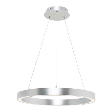 Zuma Line - Lampadario LED su filo LED/40W/230V d. 60 cm argento